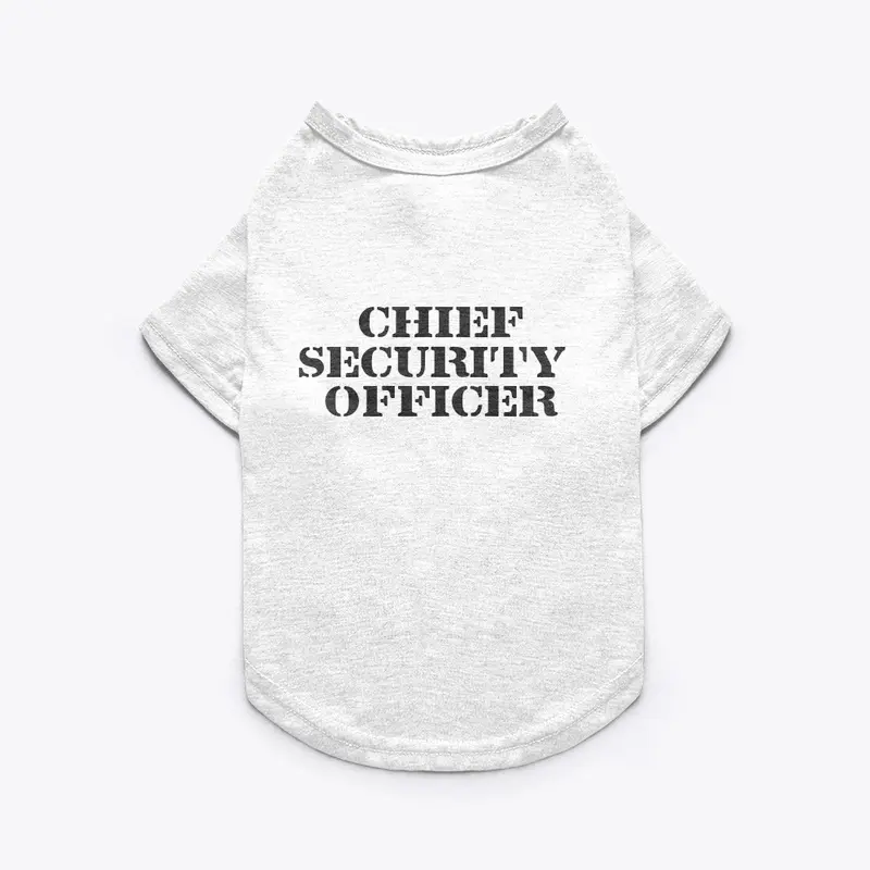 Chief Security Officer 